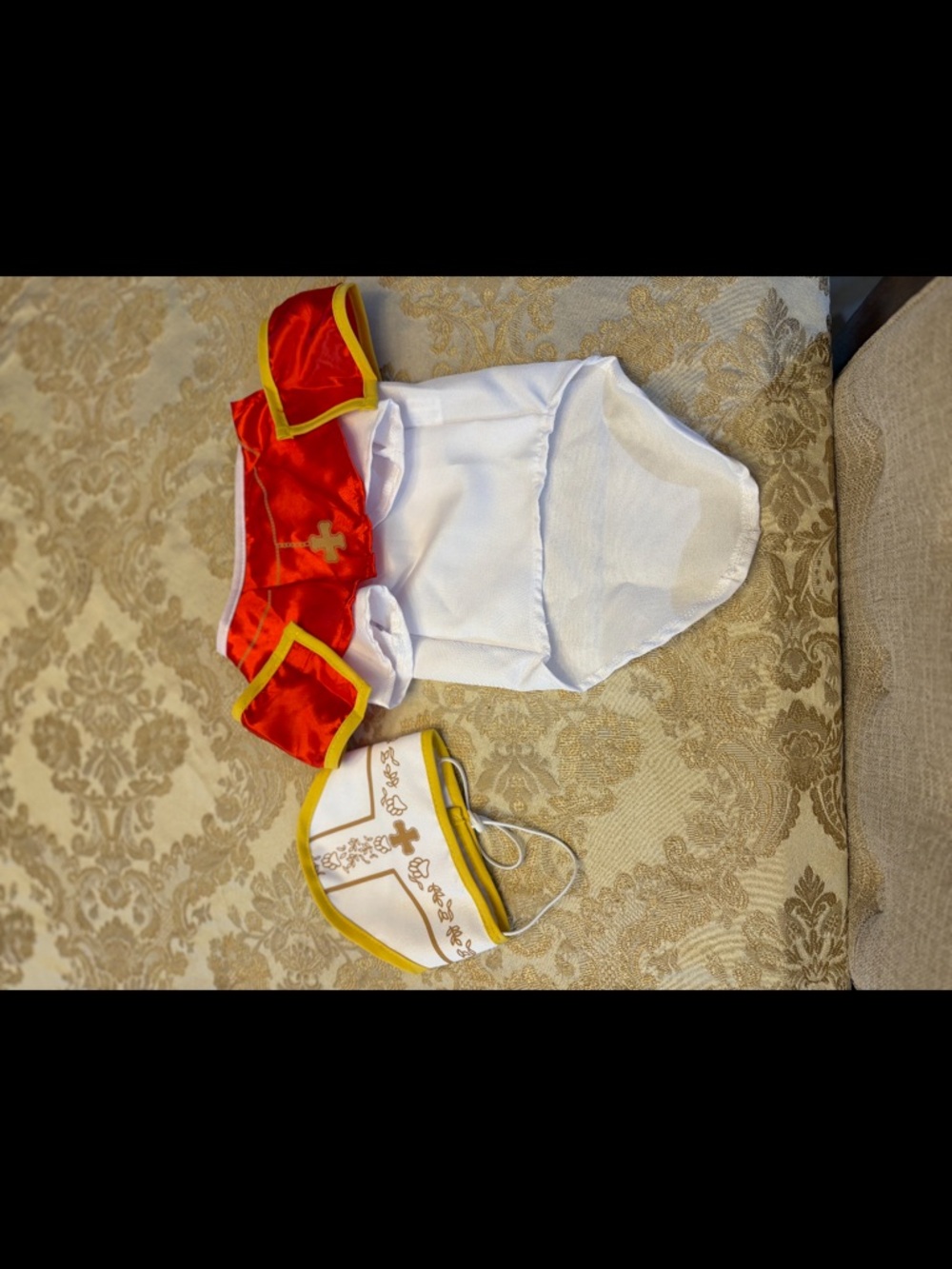 Red and White dog Costume Set with Gold Trim